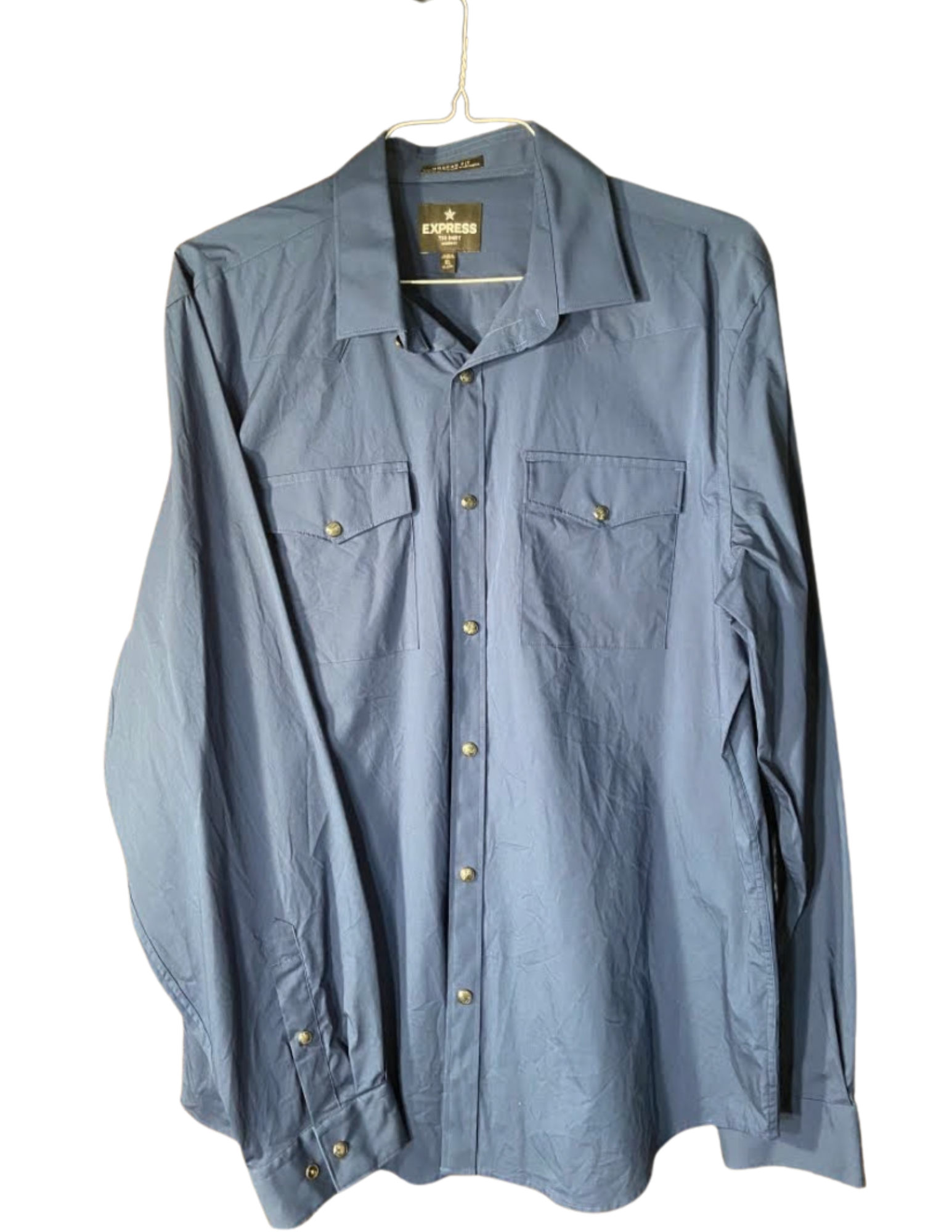 Express Casual Dress Shirt